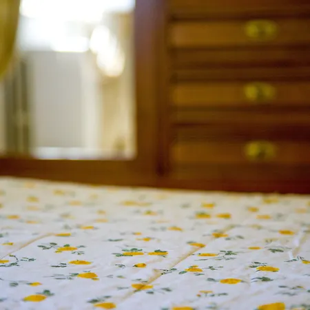 בית הארחה Bellafiora אוסימו