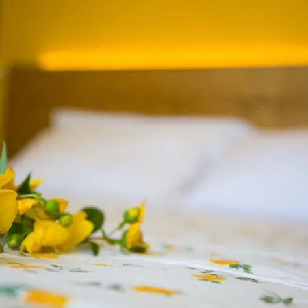 Bellafiora Pensionat