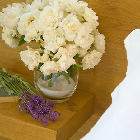 Gasthof Bellafiora Osimo